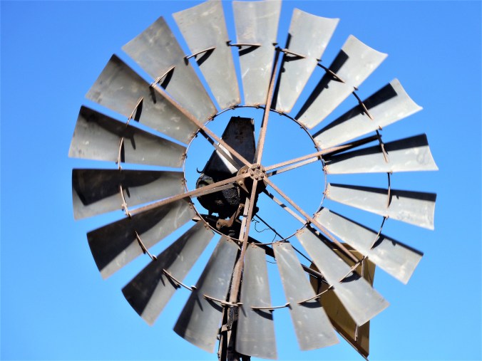 Australien2011-2012 638 (2)