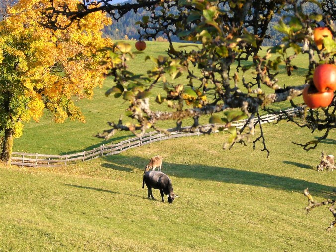 Südtirol-Okt-2008 159 (3)