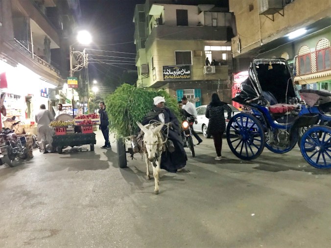 IMG_0582(Edited) (2)