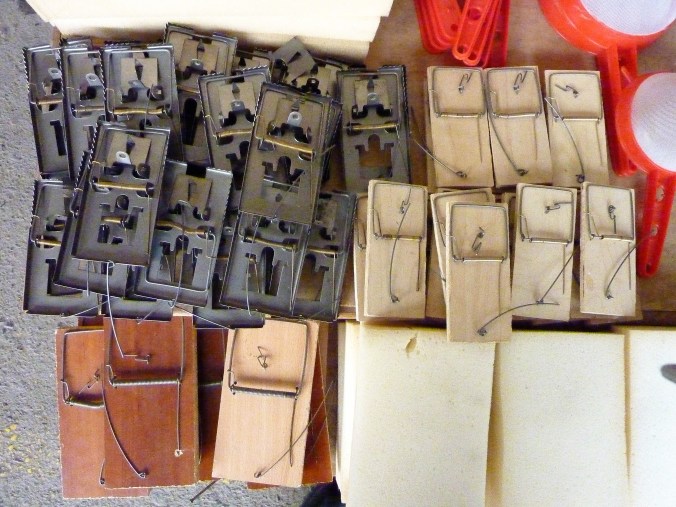 Usbekistan10-09 067 (2)