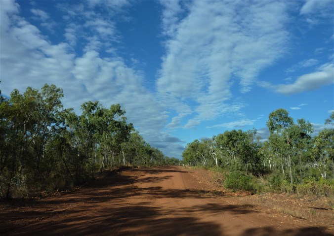Australien 2015 (Savannah Way) 272 (2)