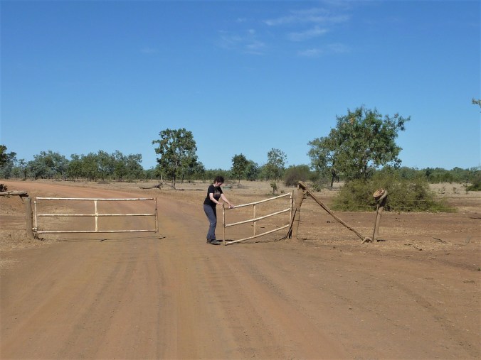 Australien 2015 (Savannah Way) 425 (2)