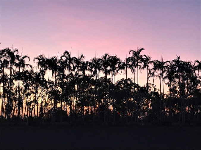 IMG_1645 (2) - Kopie