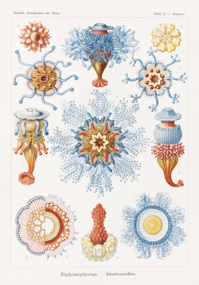 Taschen3